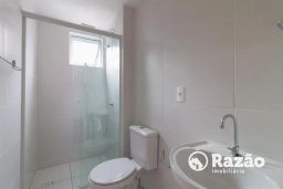 https://img.olx.com.br/thumbs256x256/76/764561284534965.jpg