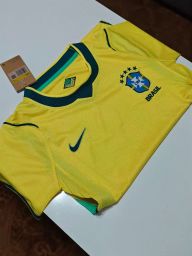 https://img.olx.com.br/thumbs256x256/76/764605309332909.jpg