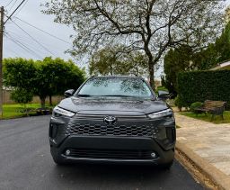 https://img.olx.com.br/thumbs256x256/76/766682432286739.jpg