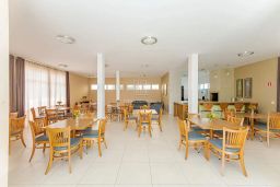 https://img.olx.com.br/thumbs256x256/76/767594523904062.jpg