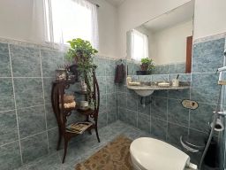 https://img.olx.com.br/thumbs256x256/76/768503395446882.jpg