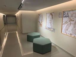 https://img.olx.com.br/thumbs256x256/76/768552168579008.jpg