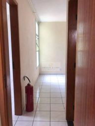 https://img.olx.com.br/thumbs256x256/76/768576165180071.jpg
