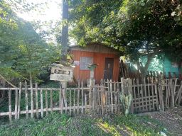 https://img.olx.com.br/thumbs256x256/76/768590882185436.jpg