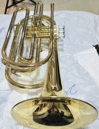 https://img.olx.com.br/thumbs256x256/77/770336201141302.jpg