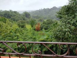https://img.olx.com.br/thumbs256x256/77/770644413363356.jpg