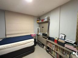 https://img.olx.com.br/thumbs256x256/77/772536281445082.jpg