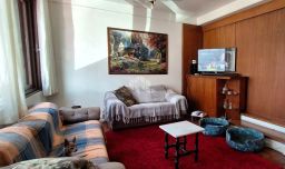 https://img.olx.com.br/thumbs256x256/77/772555759413068.jpg