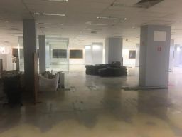 https://img.olx.com.br/thumbs256x256/77/772654201770124.jpg
