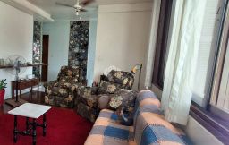 https://img.olx.com.br/thumbs256x256/77/774515750792866.jpg