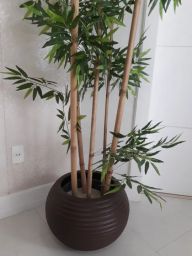 https://img.olx.com.br/thumbs256x256/77/775525608917526.jpg
