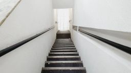 https://img.olx.com.br/thumbs256x256/77/775540281185066.jpg