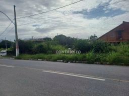 https://img.olx.com.br/thumbs256x256/77/775551644142347.jpg