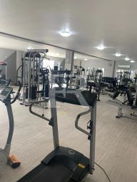 https://img.olx.com.br/thumbs256x256/77/775591393796459.jpg