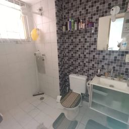 https://img.olx.com.br/thumbs256x256/77/776510152313766.jpg