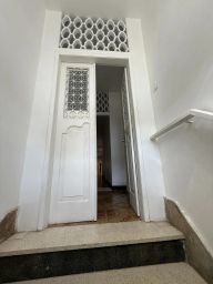 https://img.olx.com.br/thumbs256x256/77/777526763188456.jpg