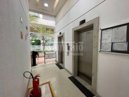 https://img.olx.com.br/thumbs256x256/77/778503275818745.jpg