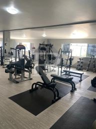 https://img.olx.com.br/thumbs256x256/77/778515514648586.jpg