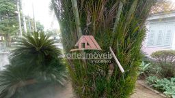 https://img.olx.com.br/thumbs256x256/77/778581524342614.jpg