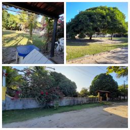 https://img.olx.com.br/thumbs256x256/77/778596628184475.jpg