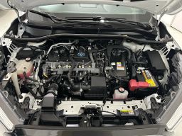 https://img.olx.com.br/thumbs256x256/77/778681921388118.jpg