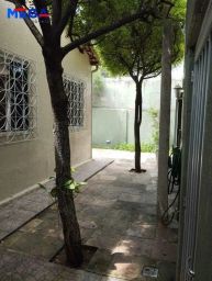 https://img.olx.com.br/thumbs256x256/77/779526169130308.jpg