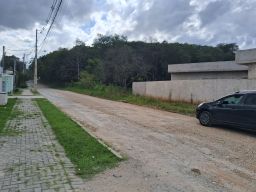 https://img.olx.com.br/thumbs256x256/77/779586125195354.jpg
