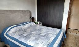 https://img.olx.com.br/thumbs256x256/78/780502757528849.jpg
