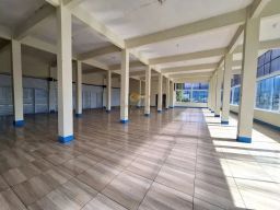 https://img.olx.com.br/thumbs256x256/78/780505284920193.jpg