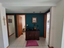 https://img.olx.com.br/thumbs256x256/78/780551766808371.jpg