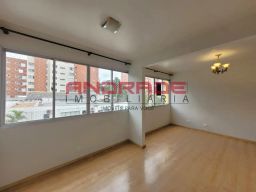 https://img.olx.com.br/thumbs256x256/78/780556526208332.jpg