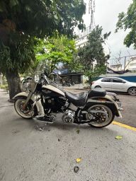 https://img.olx.com.br/thumbs256x256/78/781633200978346.jpg
