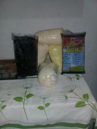 Ol� bom dia eu trabalho com venda de a�a� de Retamente do Par�