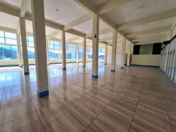 https://img.olx.com.br/thumbs256x256/78/782521886399441.jpg