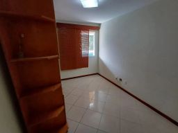 https://img.olx.com.br/thumbs256x256/78/783589400558168.jpg