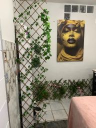 https://img.olx.com.br/thumbs256x256/78/783597754533504.jpg