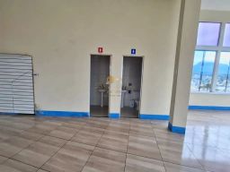 https://img.olx.com.br/thumbs256x256/78/784501523157258.jpg
