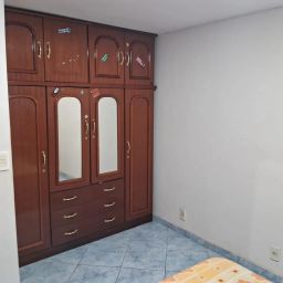https://img.olx.com.br/thumbs256x256/78/784528523548414.jpg