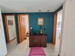 https://img.olx.com.br/thumbs256x256/78/784537285572995.jpg