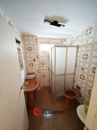 https://img.olx.com.br/thumbs256x256/78/784539886551387.jpg