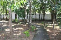 https://img.olx.com.br/thumbs256x256/78/784546888618455.jpg