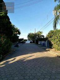 https://img.olx.com.br/thumbs256x256/78/784552166928006.jpg