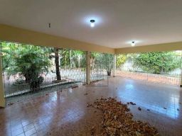 https://img.olx.com.br/thumbs256x256/78/784559046144649.jpg