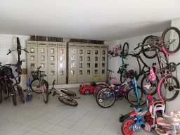 https://img.olx.com.br/thumbs256x256/78/784583401144291.jpg