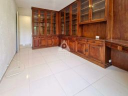 https://img.olx.com.br/thumbs256x256/78/785528641503814.jpg