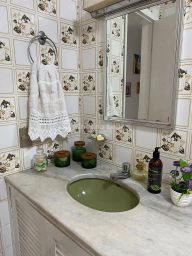 https://img.olx.com.br/thumbs256x256/78/785561761309982.jpg
