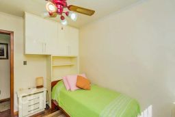 https://img.olx.com.br/thumbs256x256/78/786542402759511.jpg