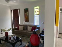 https://img.olx.com.br/thumbs256x256/78/786586281245476.jpg