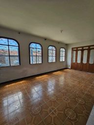https://img.olx.com.br/thumbs256x256/78/787695302392479.jpg