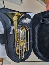https://img.olx.com.br/thumbs256x256/78/788350560736569.jpg